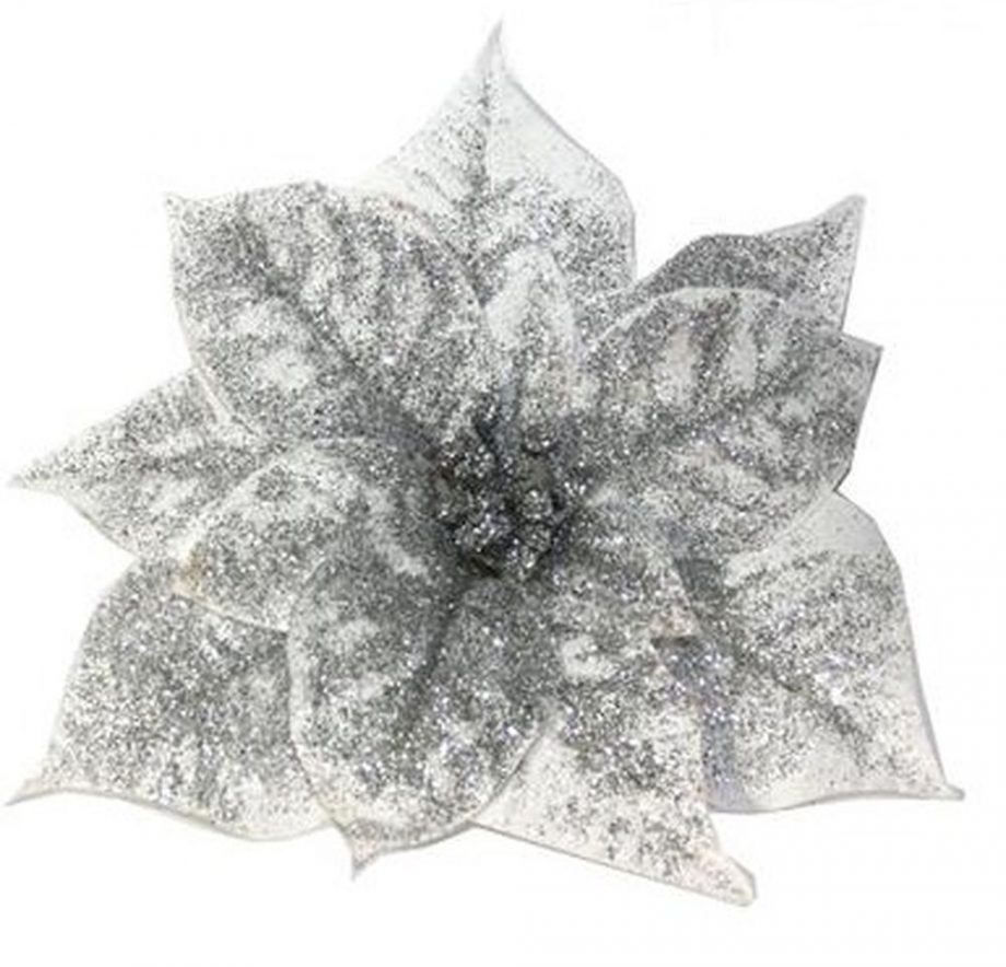 Stella di Natale