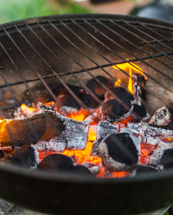BARBECUE A CARBONE