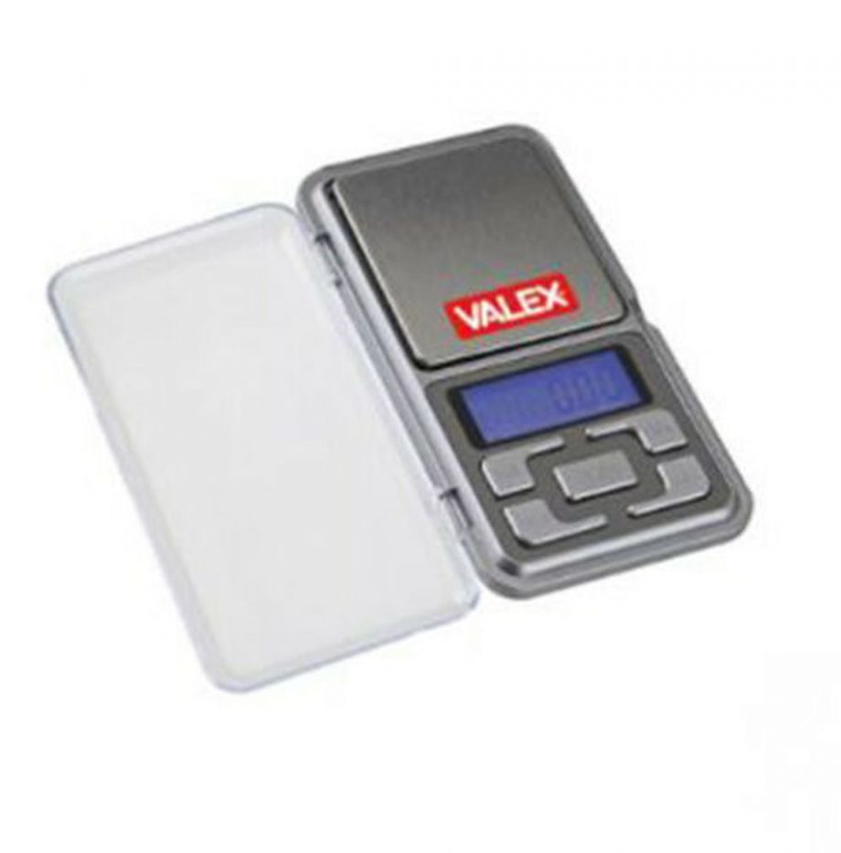 BILANCIA POCKET DI PRECISIONE