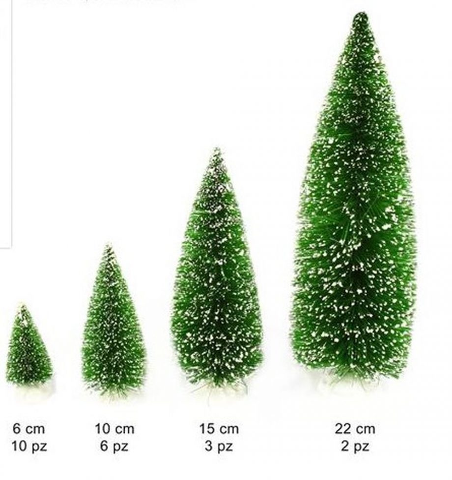 Alberini di Natale assortiti