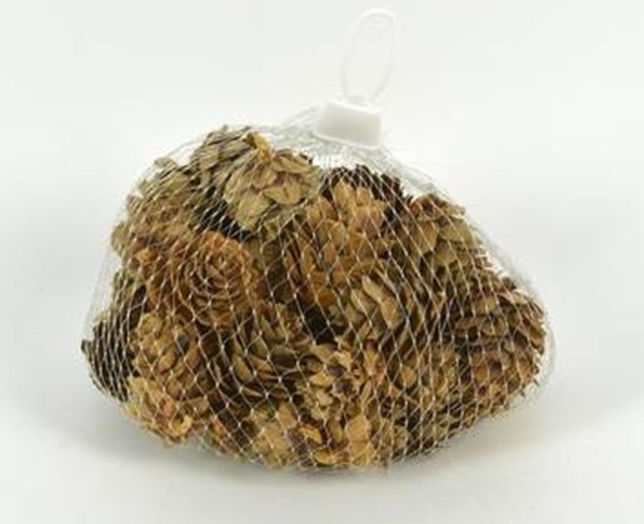 Pigne naturali
