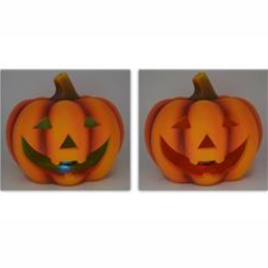ZUCCA HALLOWEEN