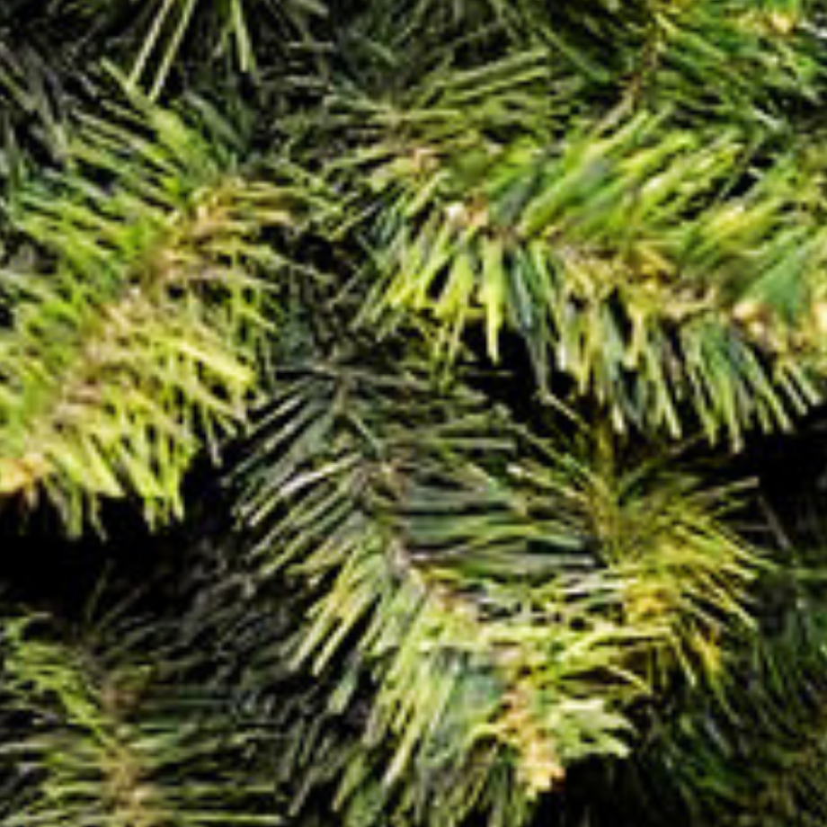 Albero Pino Texano 240 cm