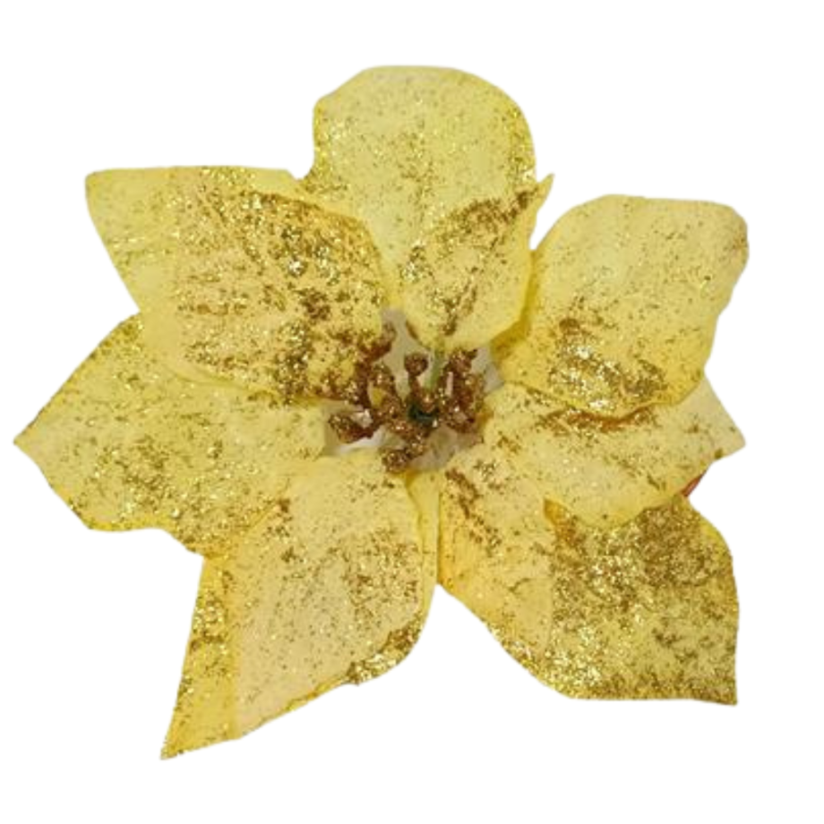 Stella di Natale Oro