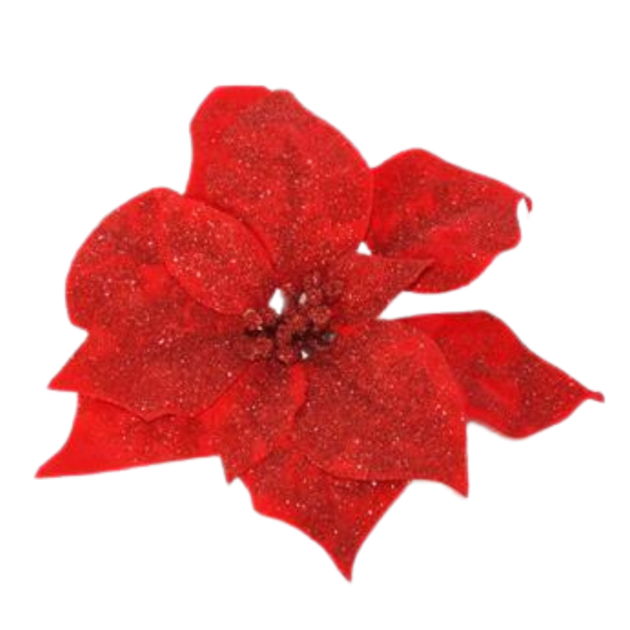 Stella di Natale Rosso