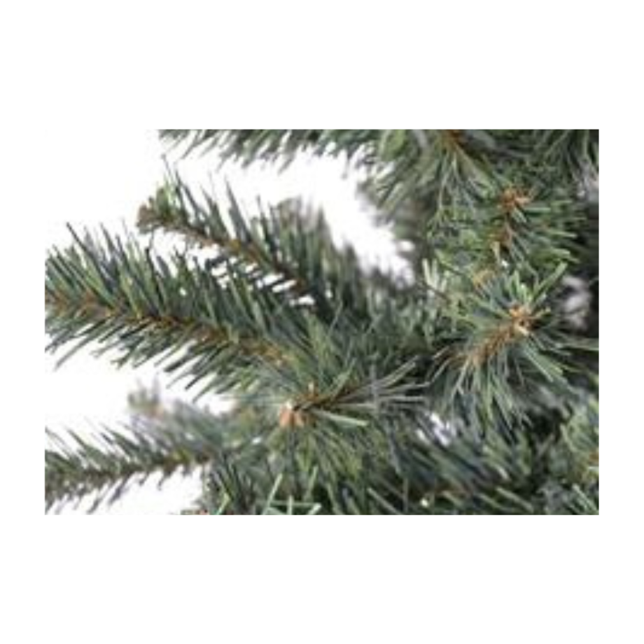 Albero Super Slim 195 cm